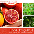 Blood Orange Basil, 14.5oz, Pop of Color