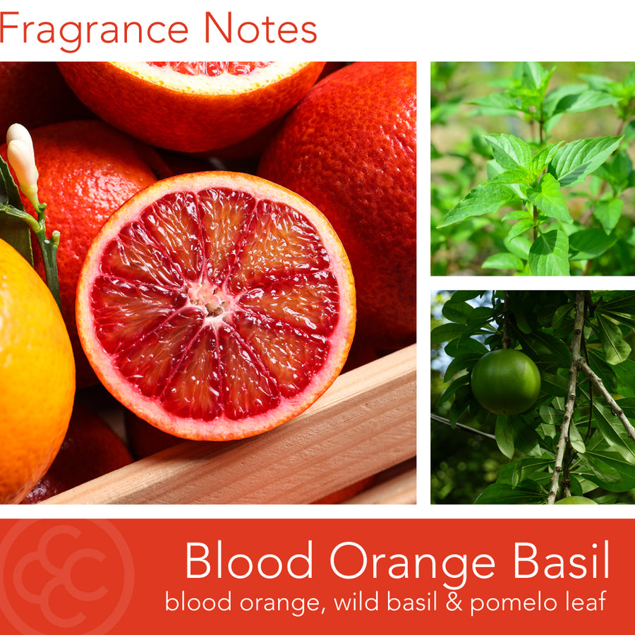 Blood Orange Basil, 14.5oz, Pop of Color