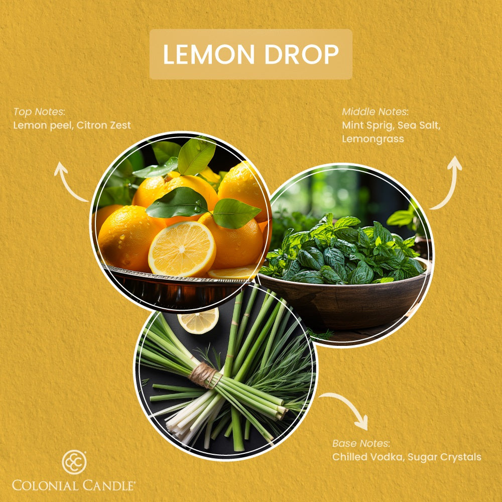 Lemon Drop, 14.5oz, Pop of Color