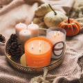 GILDED PUMPKIN 14.5oz Pop of Color