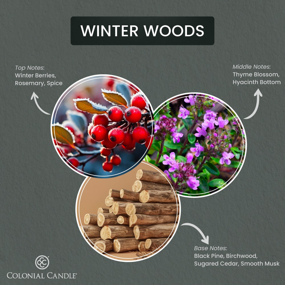 Winter Woods, 14.5oz, Pop of Color