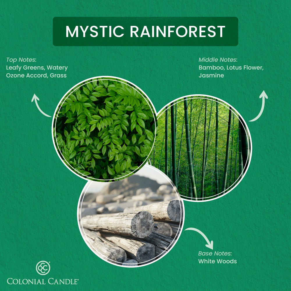 Mystic Rainforest, 14.5oz, Pop of Color