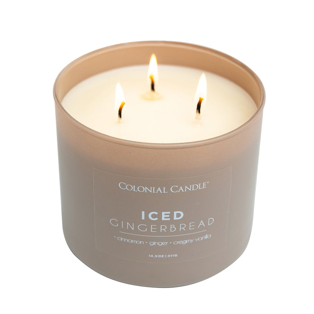 Iced Gingerbread, 14.5oz, Pop of Color