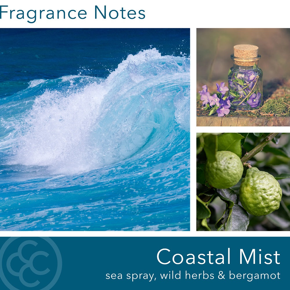 Coastal Mist, 14 oz, M Baker Collection
