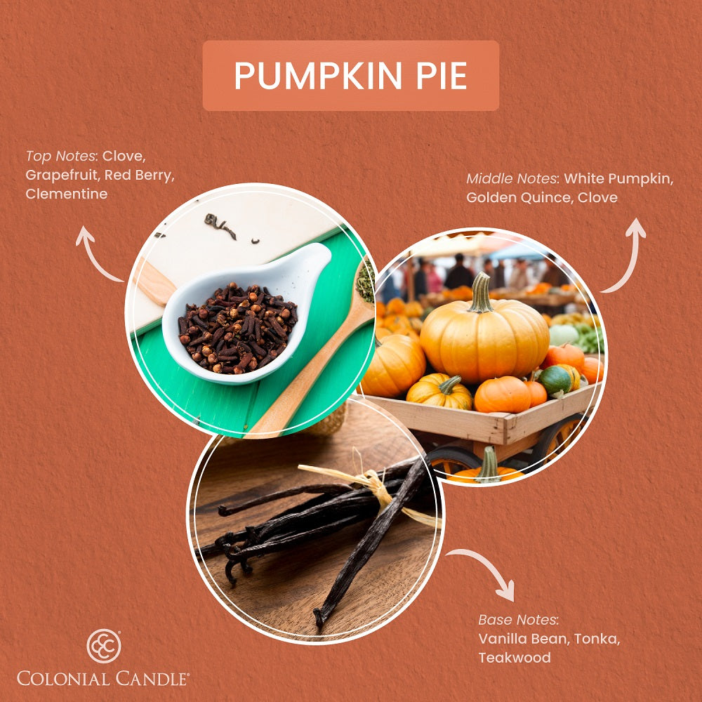 Pumpkin Pie, 8oz, Classic Ovals