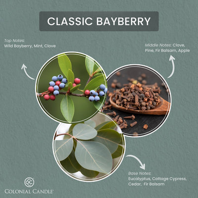 Oval Classic Bayberry, Classic Ovals, 8oz