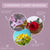 Oval Flowering Cherry Blossom, 8oz
