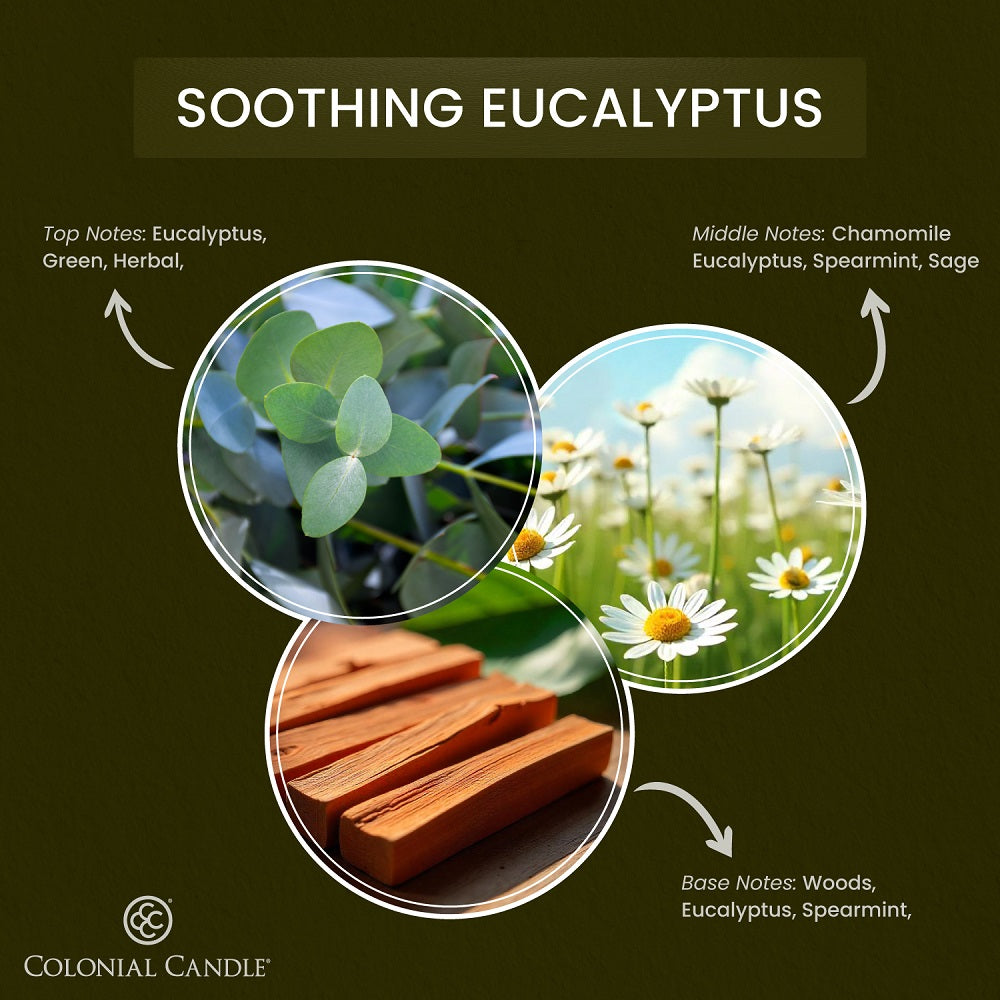 Soothing Eucalyptus, 2.75oz, Wax Melts