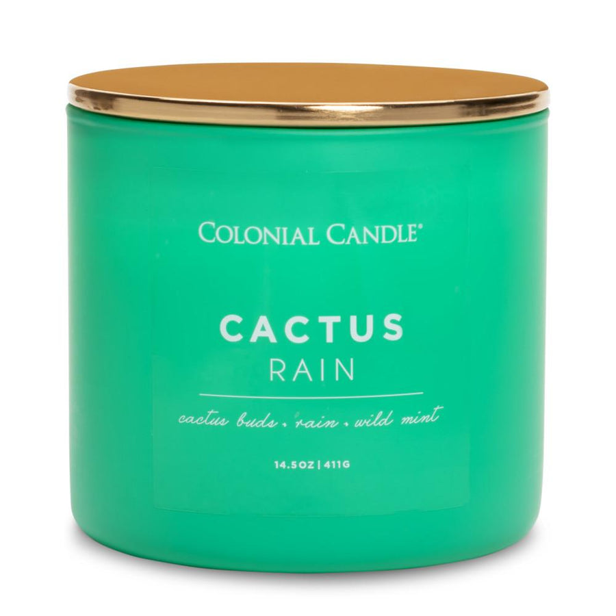 Cactus Rain